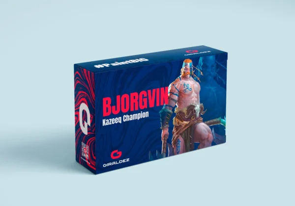 BJORGVIN