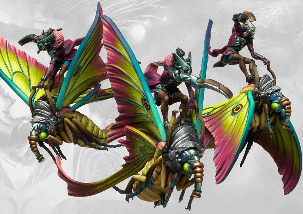 Weaver Courts 2025 Starter - Image 3