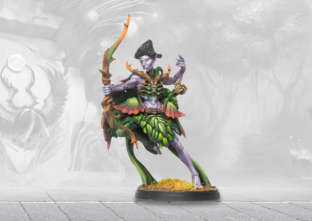 Weaver Courts 2025 Starter - Image 2